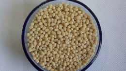 Diabetes and Urad Dal