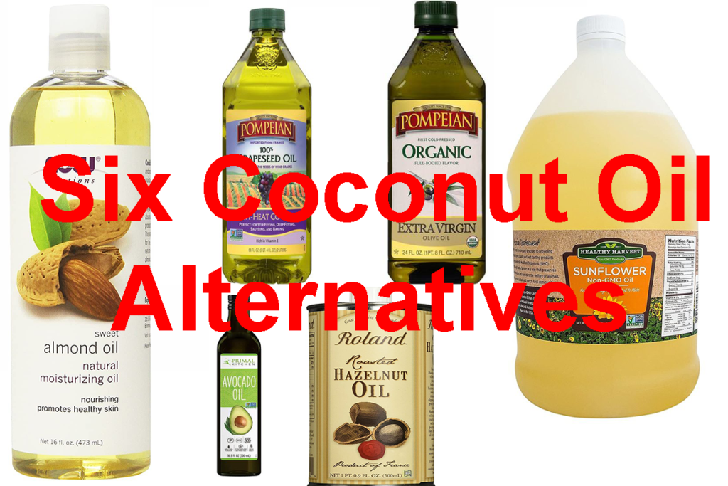 Six Coconut Oil Alternatives