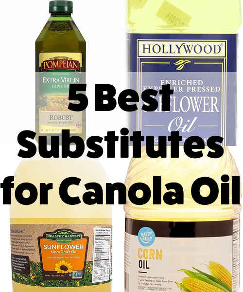 The Top 5 Alternatives to Canola Oil

