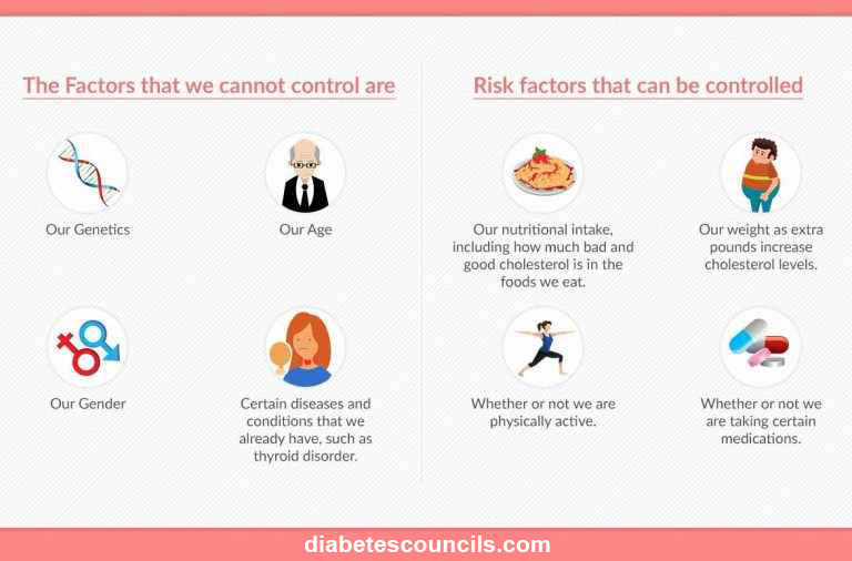 the reasons behind elevated cholesterol