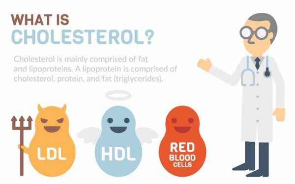 What is cholesterol
