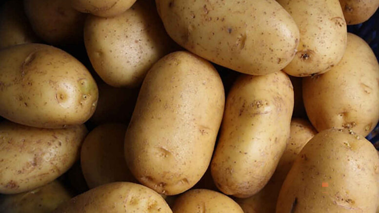 Which Potato is Best for Diabetics