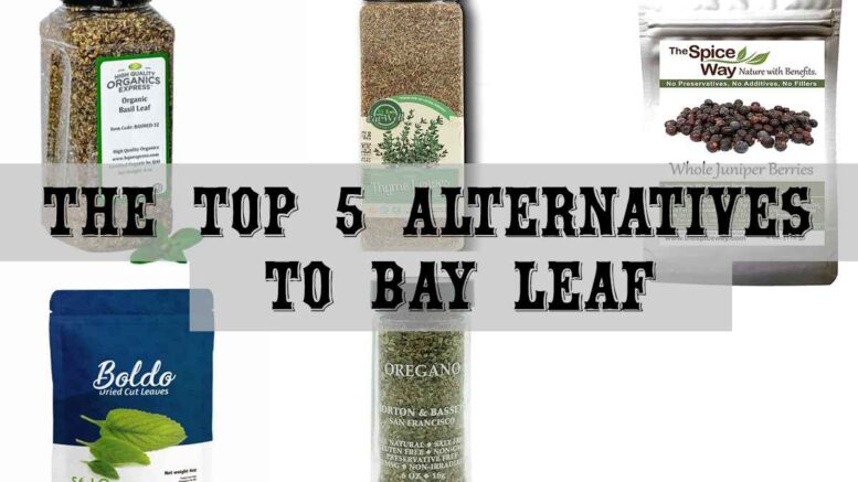 Bay Leaf