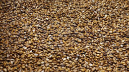 Flaxseed for Diabetes