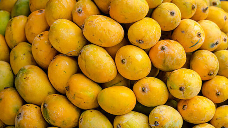 Mango