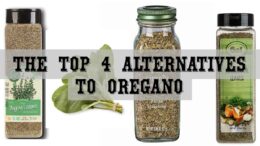 Oregano