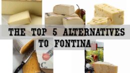 Top 5 Alternatives to Fontina