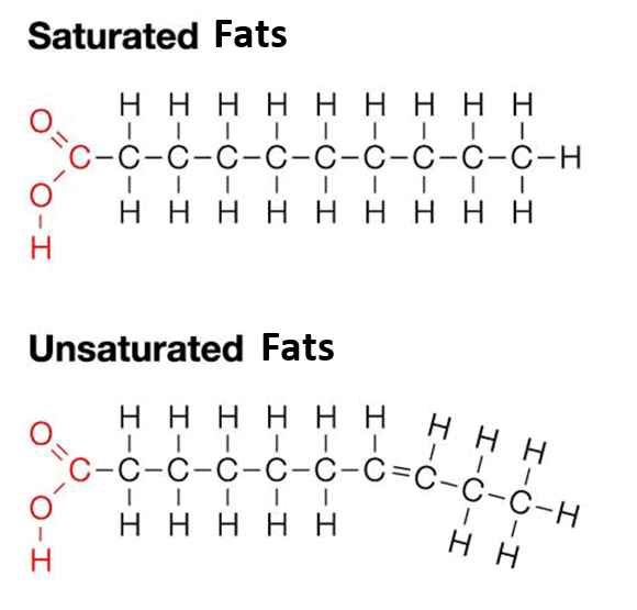 staurated unsaturated