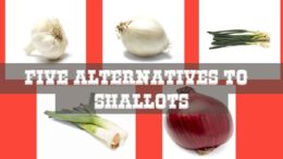 Five Alternatives to Shallots