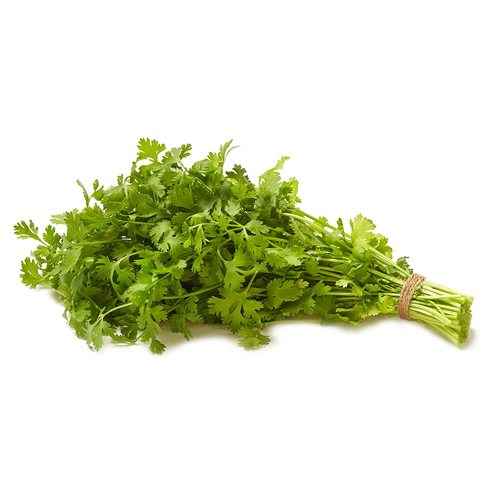 Cilantro