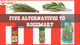 Five Alternatives to Rosemary 1