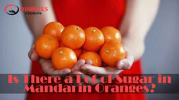 Mandarin Oranges 1