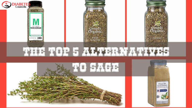 The Top 5 Alternatives to Sage 1