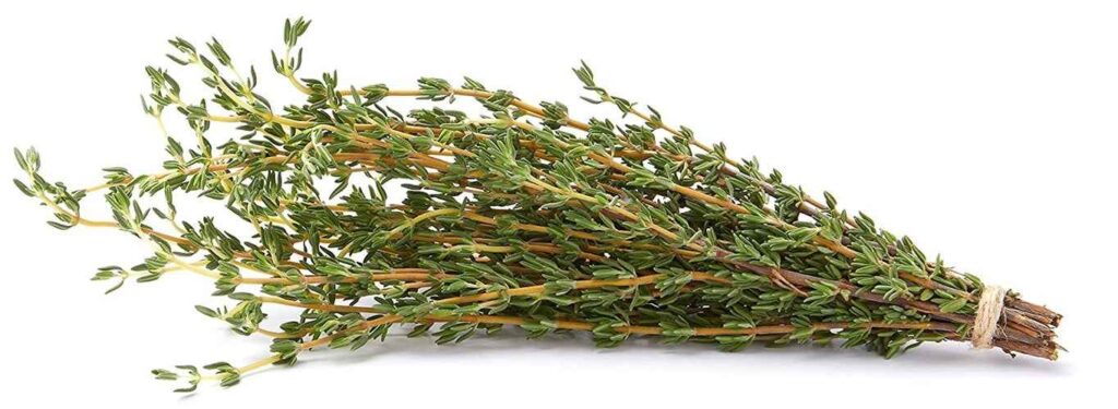 Thyme