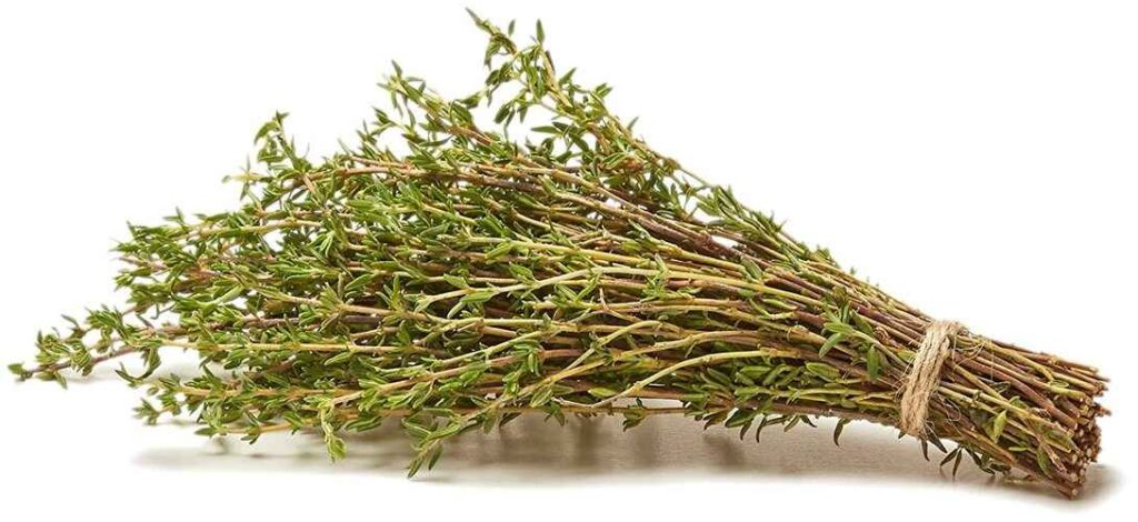 Thyme