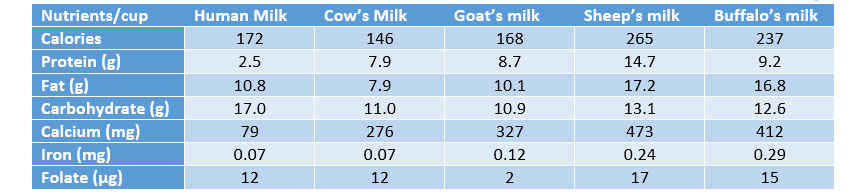 Table milk diabetes